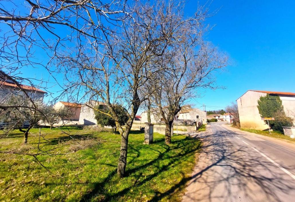 Cozy Apartments And Rooms Pavicini Segotici Екстериор снимка